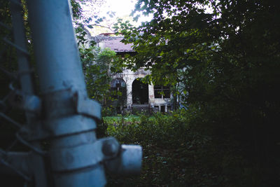 View of cemetery