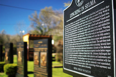 Close-up of text on plant against the sky