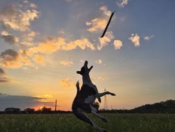 Silhouette of jumping on field against sky during sunset