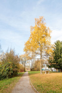 Trees growing on field against sky during autumn