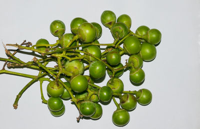 Close-up of grapes over white background