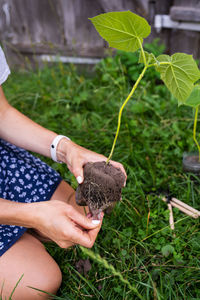 Midsection of woman holding plant