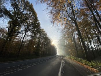 Empty road along trees