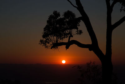 Silhouette tree against sky during sunset