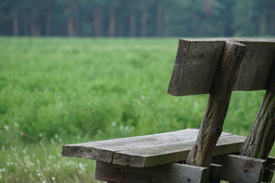 Close-up of wood on field