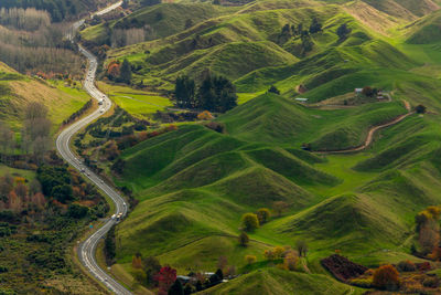 High angle view of agricultural field