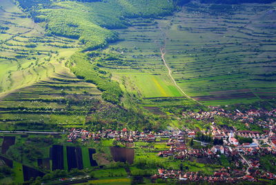 Aerial view of agricultural landscape