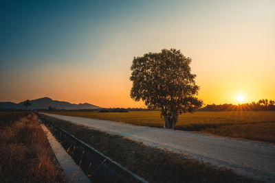 Road by trees on field against sky during sunset