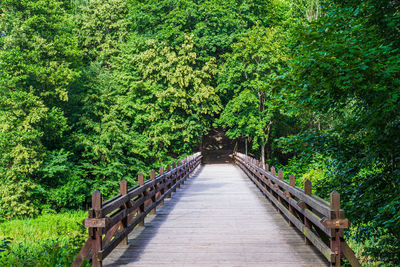 Footbridge amidst trees in forest