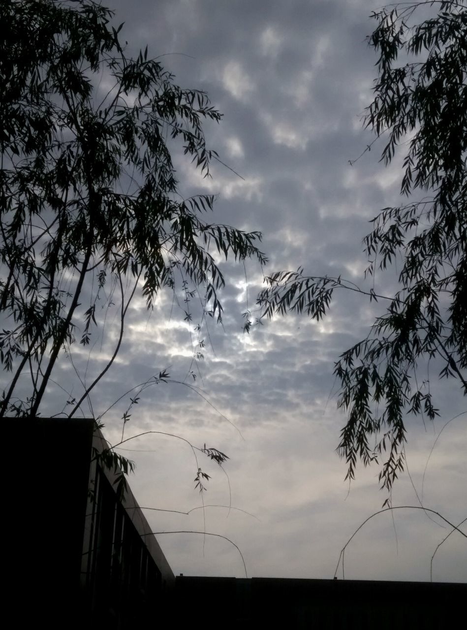 sky, tree, silhouette, cloud - sky, low angle view, cloudy, tranquility, cloud, bare tree, beauty in nature, nature, scenics, branch, tranquil scene, built structure, dusk, sunset, outdoors, no people, overcast