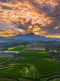 Scenic view of agricultural field against sky during sunset