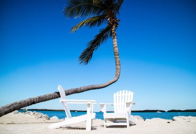 Palm trees on beach against clear blue sky