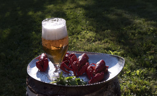 High angle view of beer glass