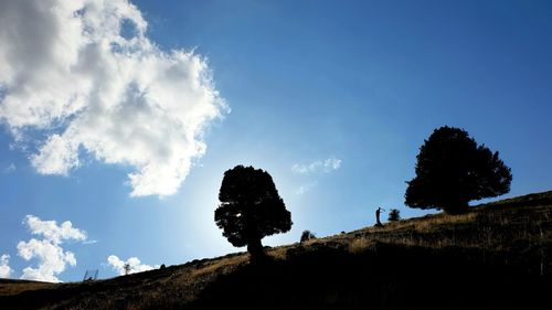 Low angle view of silhouette trees on field against sky