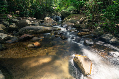 Scenic view of waterfall in forest