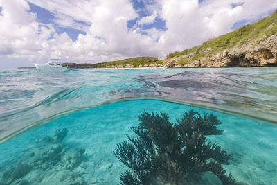 Diving in curacao