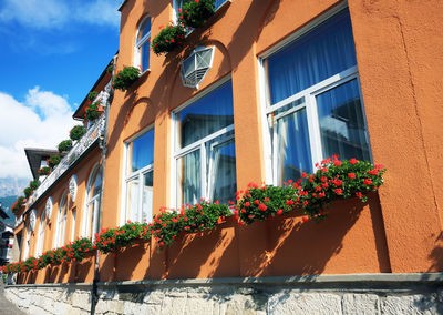 Flower decorations on building balconies
