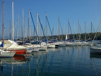 Sailboats moored on harbor against sky