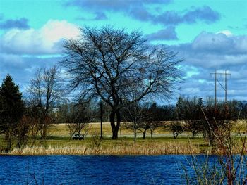 Bare trees on field against cloudy sky