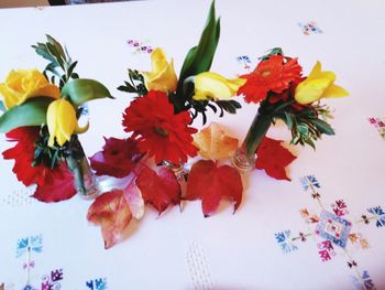 Close-up of multi colored flowers