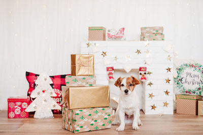 Cute jack russell dog sitting by presents boxes over christmas decoration at home or studio