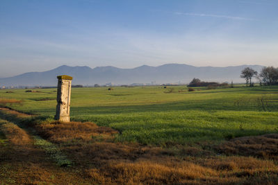 Scenic view of field against sky