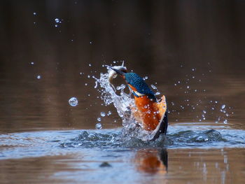 Man splashing water