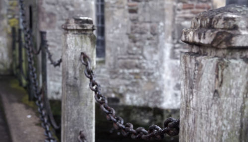 Close-up of water against blurred background
