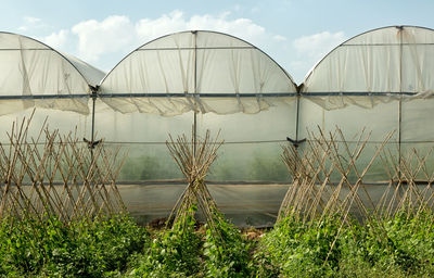 Scenic view of greenhouse against sky