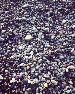 Full frame shot of pebbles on beach