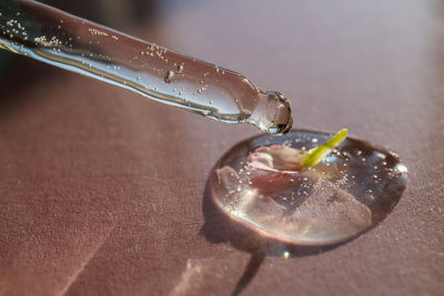 Close-up of wedding rings on table