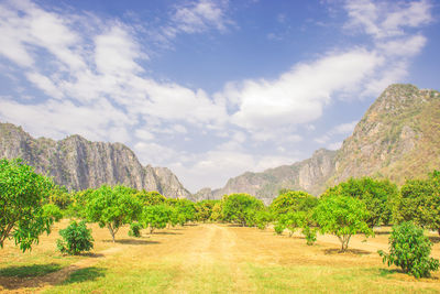 Scenic view of landscape against sky