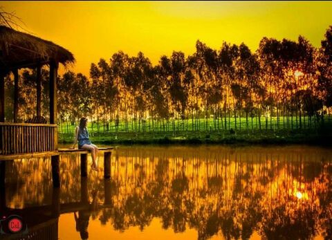 tree, lake, reflection, sunset, water, one person, outdoors, nature, scenics, tranquil scene, sitting, beauty in nature, one man only, tranquility, adult, silhouette, people, landscape, adults only, sky, only men, day