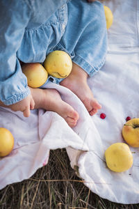 Low section of child sitting by fruits on picnic blanket at park