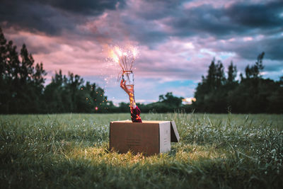 Cropped image of hand holding fireworks on field against sky