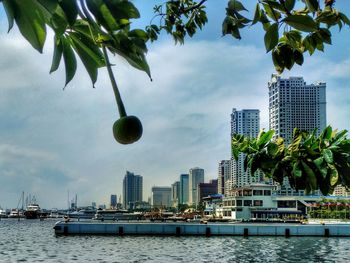 Sea and buildings against sky