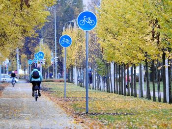 Rear view of person riding bicycle on road at park during autumn