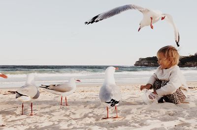Girl feeding seagulls on beach
