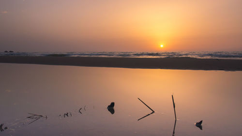 Silhouette birds on beach against sky during sunset