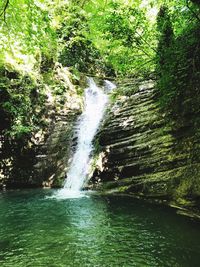 Scenic view of waterfall in forest