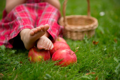 Midsection of girl with red chili peppers in basket