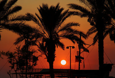 Low angle view of silhouette palm trees against sky during sunset