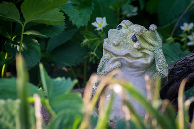 Close-up of a statue