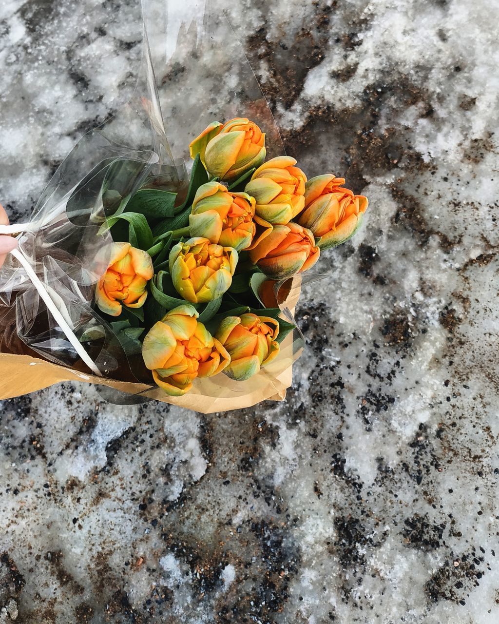 HIGH ANGLE VIEW OF ORANGE FLOWER ON PLANT