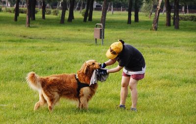 Full length of dog on grass