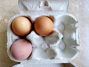 High angle view of eggs in container
