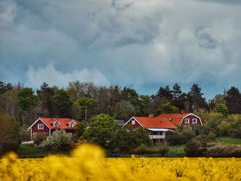 House on field by trees against sky