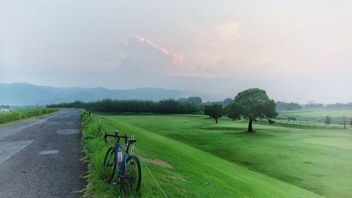 Scenic view of field against sky