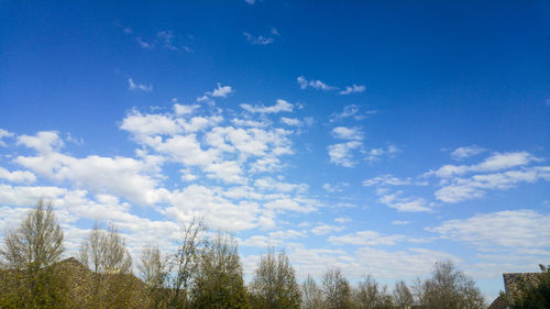 Low angle view of trees against cloudy sky