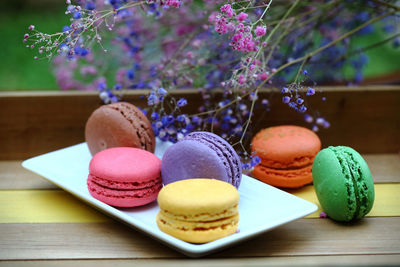 Close-up of multi colored cake on table